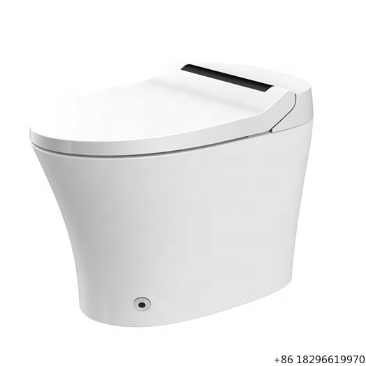 Home Bathroom Ware - Kolay Kurulumlu Elektrikli Bide Akıllı Klozet