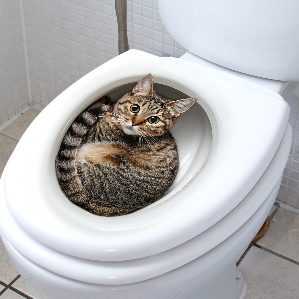 3D Komik Kedi Tuvalet Etiket B - Home Center Bathroom Accessories incelemesi ve fiyatı
